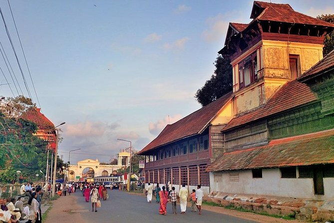 Trivandrum Full Day Sightseeing Tour in a Private Car - The Practical Side: What You Need to Know