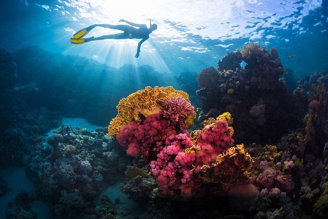 Try Freediving on Nusa Penida - Practical Details and Logistics