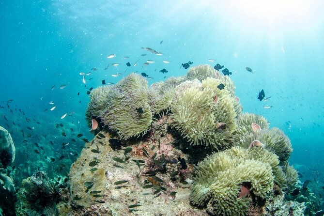 Try Scuba Diving 2 Dives Bang Bao - The Guides and Equipment