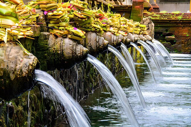 Ubud Bali: Rice Terrace, Waterfall and Tirta empul Day Tour - A Closer Look at the Tour Experience