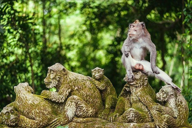 Ubud Costumize Tours - Who Should Consider This Tour?