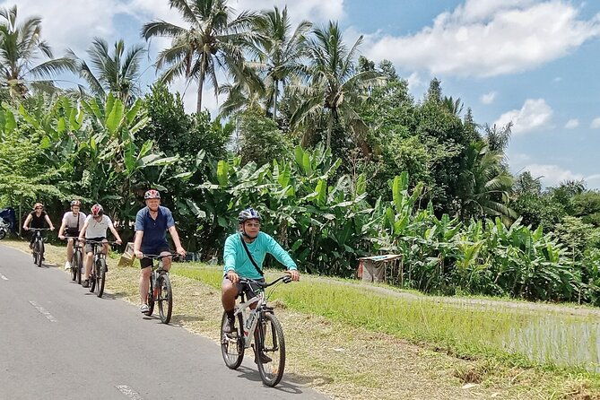 Ubud Cultural and Educational Downhill Cycling Tour - What Sets This Tour Apart