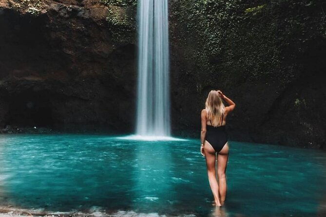 Ubud Customized Full Day Tour - Visit Most favorite In Ubud - What’s Included & What’s Not