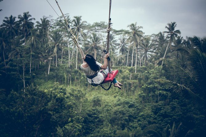 Ubud Customized Private Tour - Who Is This Tour Best For?