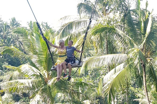 Ubud day trip - Exploring the Ubud Day Trip in Detail