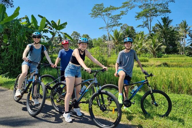 Ubud: Downhill Cycling with Volcano, Rice Terraces and Meal - Practical Details and Why They Matter