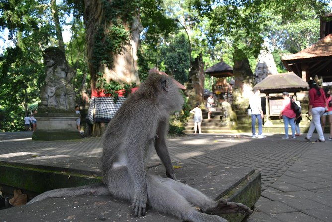 Ubud Full Day Tour - Costumeize Your Own Trip - Why This Tour Is a Great Choice