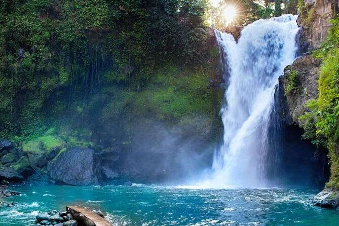 Ubud Full Day Tour Waterfall Monkey Forest Rice Terrace - Practical Details and Value