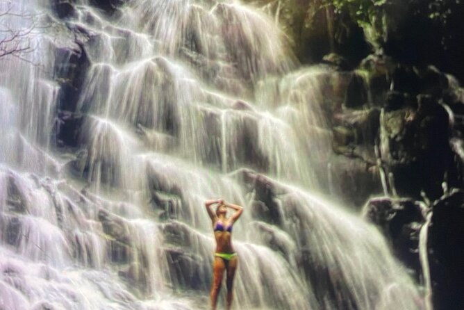 Ubud Highlight Rice Terrace,Waterfall,Temple and Art village - Exploring Bali’s Natural Beauty and Culture in a Day