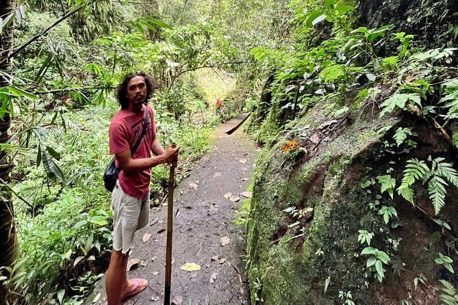 Ubud Highlights Full-Day Tour - Small Group - Practical Aspects & Value