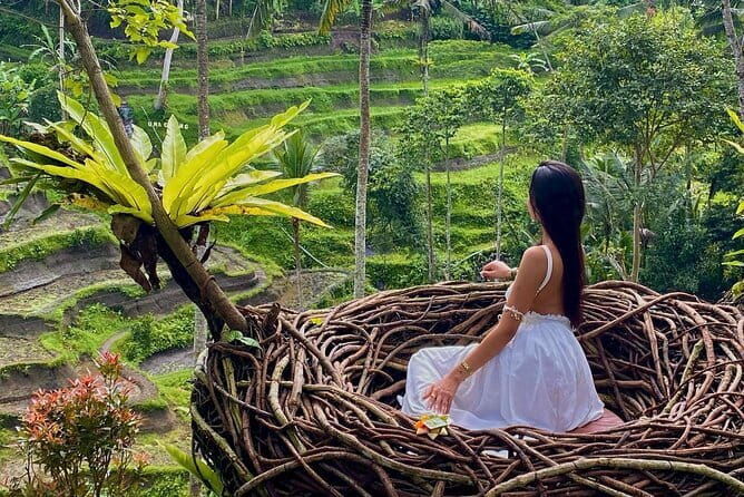 Ubud Highlights -Private Tour,Temples, Waterfalls & Rice terraces - The Itinerary in Detail