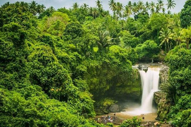 Ubud Instagram Spots Tour - One Day Private Trip - Authentic Insights from Travelers