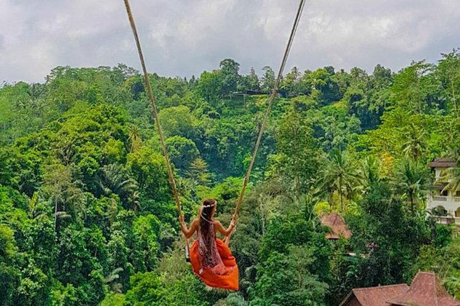 Ubud Jungle Swing, Temple & Waterfall Tour (Private Half Day Tour) - What Travelers Say