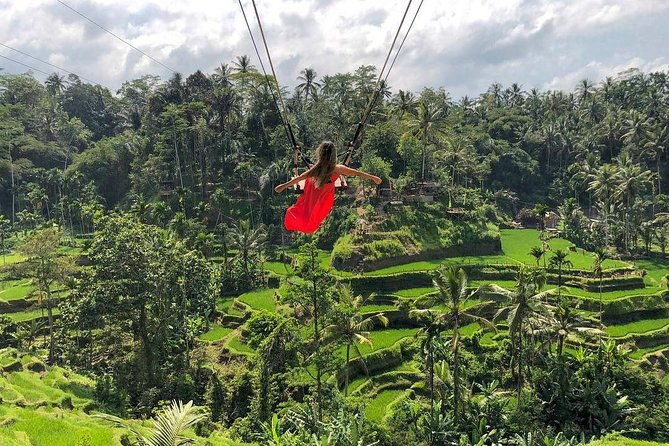 Ubud: Monkey Forest, Jungle Swing, Rice Terrace, and Water Temple - Who This Tour Is Best For
