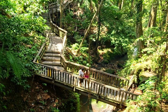 Ubud Private Tour - Best Of Ubud - All Inclusive - What’s Included and What to Expect