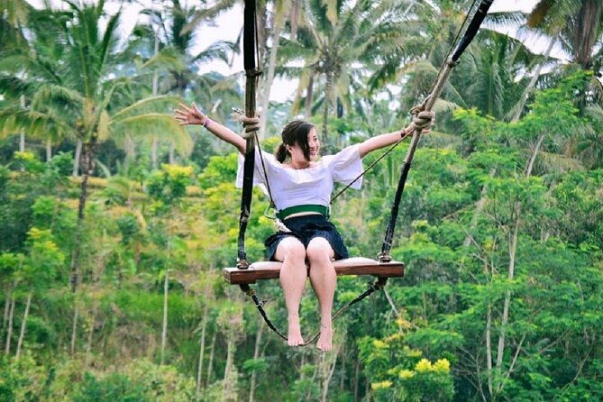 Ubud Private Tour : Ubud Temple and Authentic of Ubud - Itinerary Breakdown and What You Can Expect