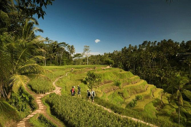 Ubud Rafting - Rice Terrace - Tegenungan Waterfall - Tanah Lot Sunset Temple - Exploring the Itinerary in Detail