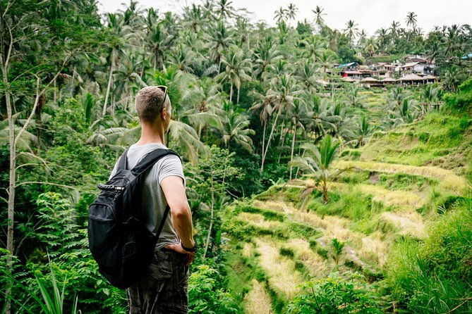 Ubud Small Group Tour: Monkey Forest, Tegalalang Rice Terraces and more - What Travelers Can Expect from the Experience