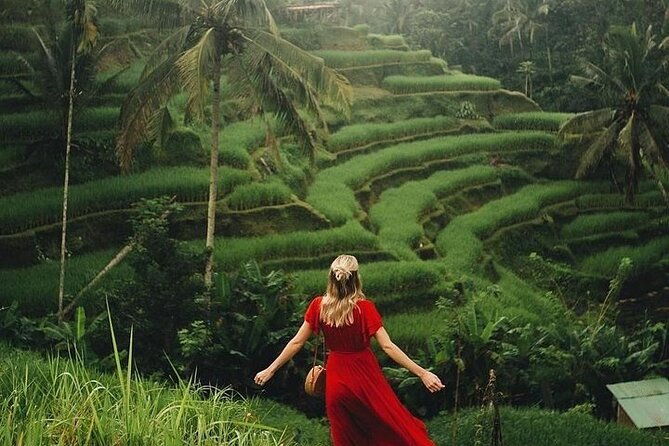 Ubud: Swing - Monkey Forest - Waterfall - Temple - Rice Terraces - Art Crafts - FAQ