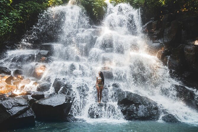 Ubud Top Attractions: Waterfalls, Temples and Rice Terraces - Value for Money