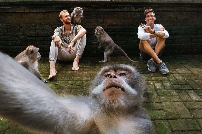 Ubud Tour-All Inclusive with Jungle Swing And Lunch - Starting at the Sacred Monkey Forest Sanctuary