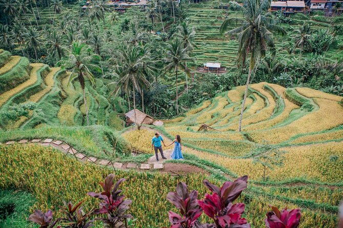 Ubud Tour - Best of Ubud - All Inclusive - A Closer Look at the Itinerary