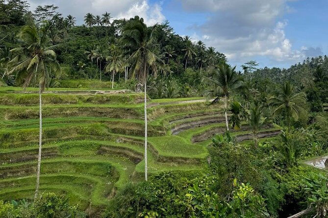Ubud Tour - Highlight of Ubud - Traditional Tour - Final Thoughts: Is This Tour for You?