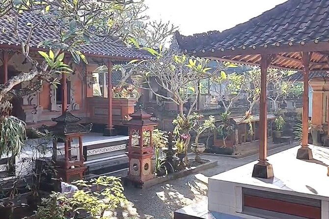 Ubud Tour With Bali Swing All Inclusive - What’s Included and What’s Not