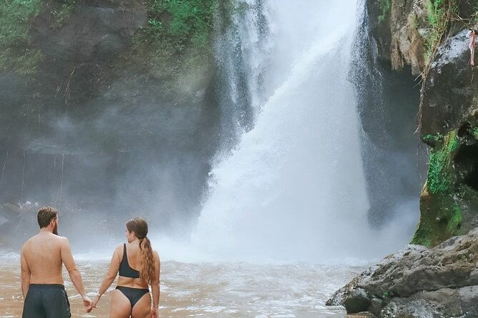 Ubud Tour with Jungle Swing and Waterfall Water Temple - How the Tour Performs in Practice