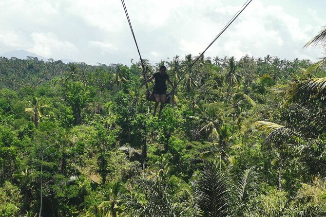 Ubud Village, Tegalalang Rice Terrace Swing, Tirta Empul Temple and Waterfafall - Exploring the Itinerary in Detail