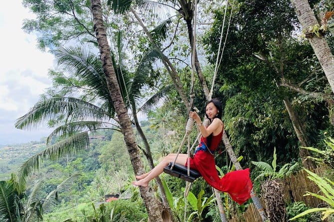 Ubud Water Temple Waterfall Terrace Swing Private Guided Tour - Who Is This Tour Best Suited For?