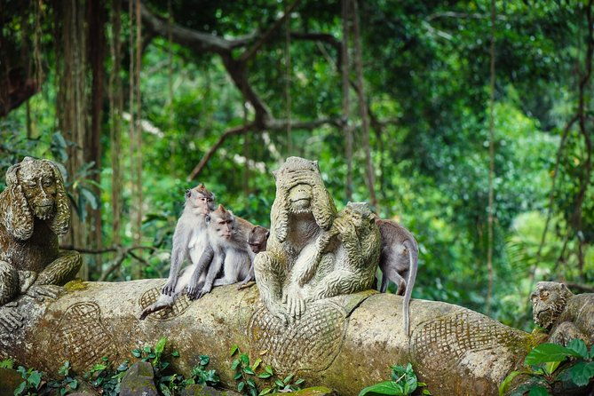 Ubud: Waterfall, Rice Terraces, and Monkey Forest Private Tour - What Travelers Love About This Tour