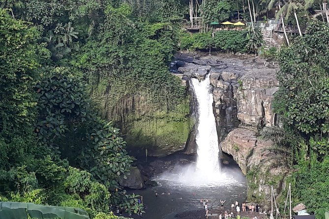 Ubud Waterfall Swing And Spring Temple Private Guided Tour - Authentic Experiences and Reviewer Insights