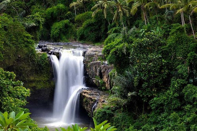 Ubud Waterfall Tour - Why This Tour Works Well for Certain Travelers