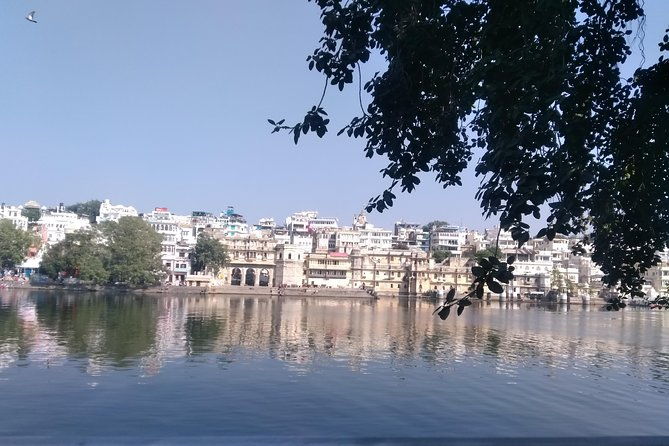 Udaipur Sightseeing Day Tour with Professional Guide - Who Will Love This Tour?