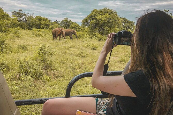 Udawalawa Safari Drive From Galle, Weligama, Mirissa & Dickwella - The Practical Details