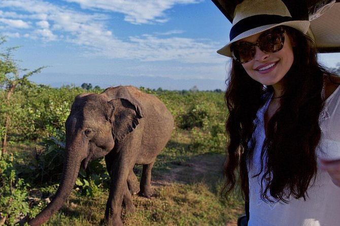 Udawalawe Safari Day Trip with Return Transport - All Inclusive - The Experience: What You Can Expect