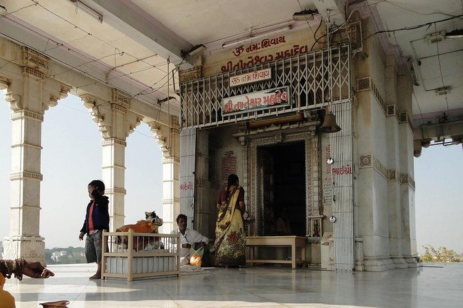 Vadodara to the Statue of Unity: Monumental Legacy Journey - What Makes This Tour Stand Out?