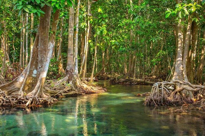 Vam Sat Mangrove Forest - VIP Private Tour from Ho Chi Minh City - Discovering Vietnam’s Natural Charm at Vam Sat Mangrove Forest