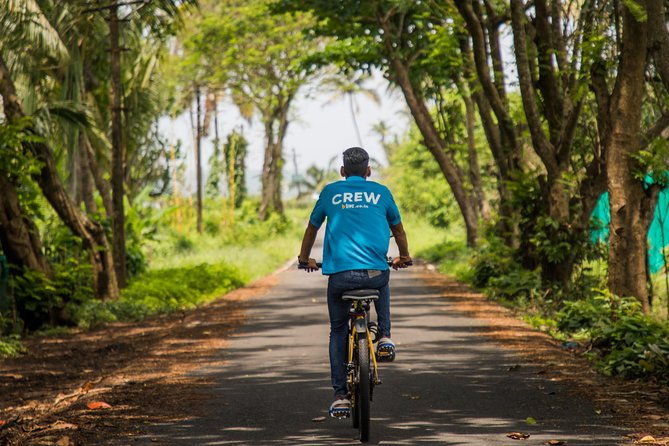 Varca Coastal E-Bike Tour: Scenic Beachside Adventure - Why This Tour Works