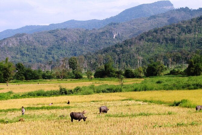 Vientiane Day Trip By Bike To Tad Moon Waterfall - The Experience You Can Expect