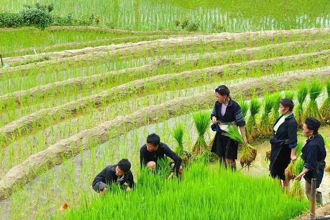 Vietnam Package Tours - Hanoi Green Travel - Who Should Consider This Tour?