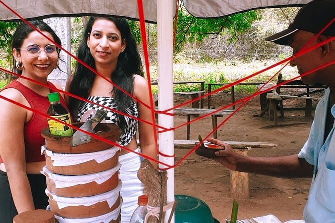 Visit Around Ella with diyaluma falls - Who is This Tour Best For?