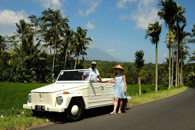 Visit Rice terrace, Beratan temple, waterfall by Vantage Volkswagen 181 - Who Should Book This Tour?  