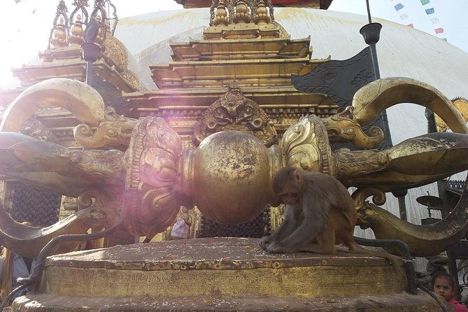 Walking tour of Kathmandu with awesome local guides - Who Is This Tour Best Suited For?