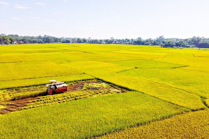 Warriors Legacy and Rivers Harmony: Cu Chi & Mekong 1 Day - Exploring Local Crafts and Cuisine