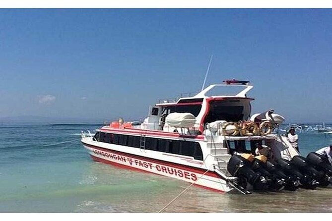 West Nusa Penida Full-Day Private Tour - Final Thoughts