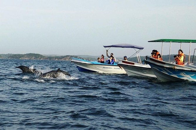 Whale & Dolphin Watching Trincomalee - Transportation and Practical Details