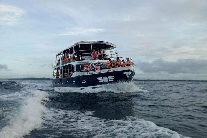 Whale Watching Experience in Mirissa - FAQ