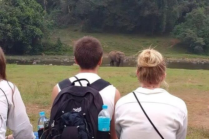 Wild Life Anakulam Jeep Safari - Itinerary Breakdown: A Day in Munnar’s Wilderness